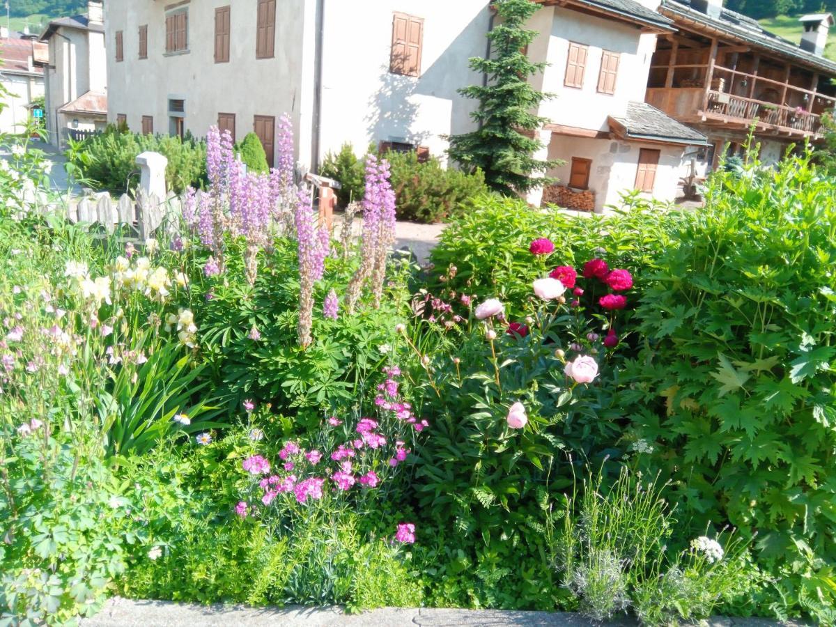 Apartament Da Carla Dolomiti Val Di Zoldo Zewnętrze zdjęcie
